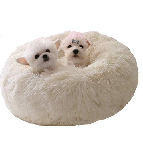 BODISEINT Modern Soft Plush Round Pet Bed for Cats or Small Dogs, Mini Medium Sized Dog Cat Bed Self Warming Autumn Winter Indoor Snooze Sleeping Cozy Kitty Teddy Kennel (20'' D x 8'' H, Light Grey)