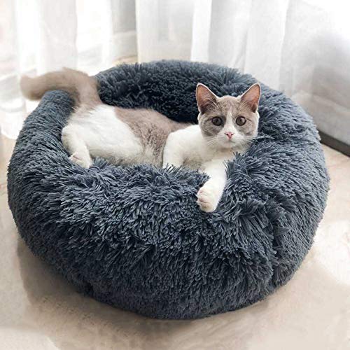 BODISEINT Modern Soft Plush Round Pet Bed for Cats or Small Dogs, Mini Medium Sized Dog Cat Bed Self Warming Autumn Winter Indoor Snooze Sleeping Cozy Kitty Teddy Kennel (20'' D x 8'' H, Light Grey)
