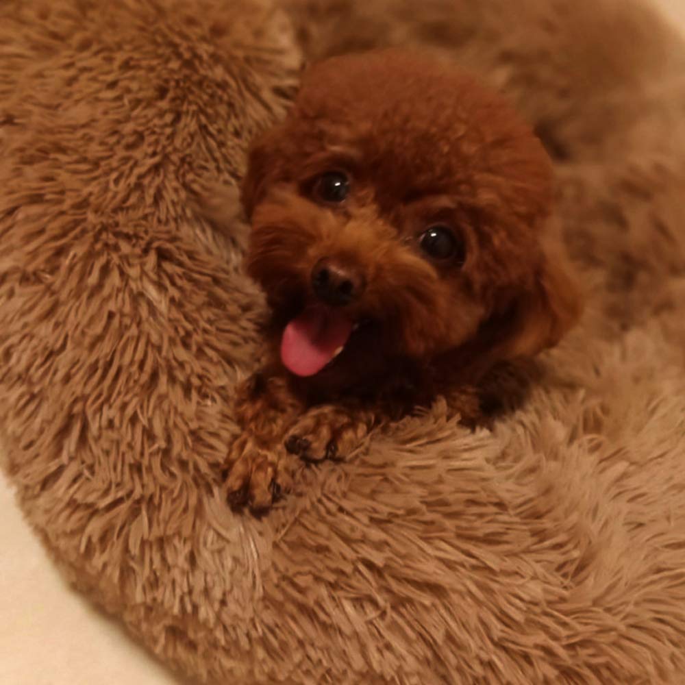 BODISEINT Modern Soft Plush Round Pet Bed for Cats or Small Dogs, Mini Medium Sized Dog Cat Bed Self Warming Autumn Winter Indoor Snooze Sleeping Cozy Kitty Teddy Kennel (20'' D x 8'' H, Light Grey)