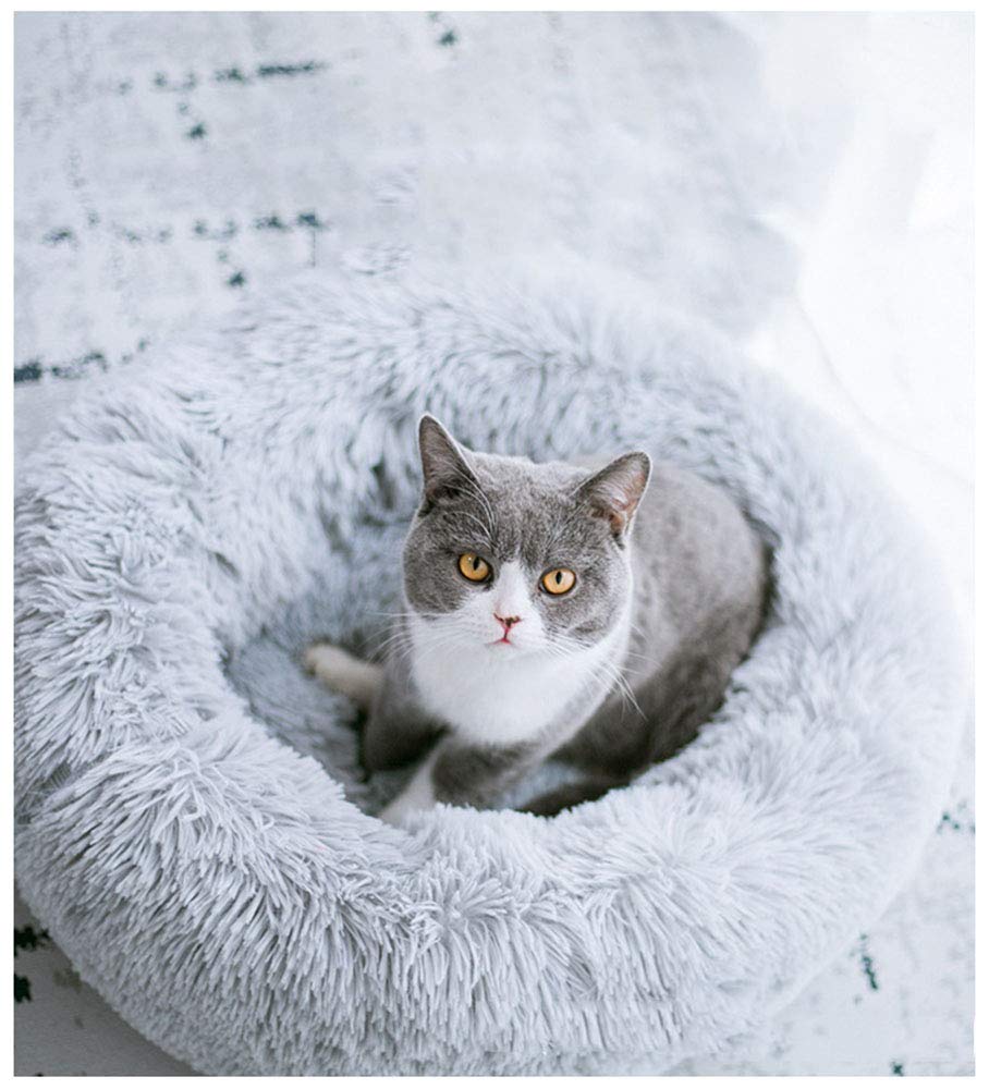 BODISEINT Modern Soft Plush Round Pet Bed for Cats or Small Dogs, Mini Medium Sized Dog Cat Bed Self Warming Autumn Winter Indoor Snooze Sleeping Cozy Kitty Teddy Kennel (20'' D x 8'' H, Light Grey)