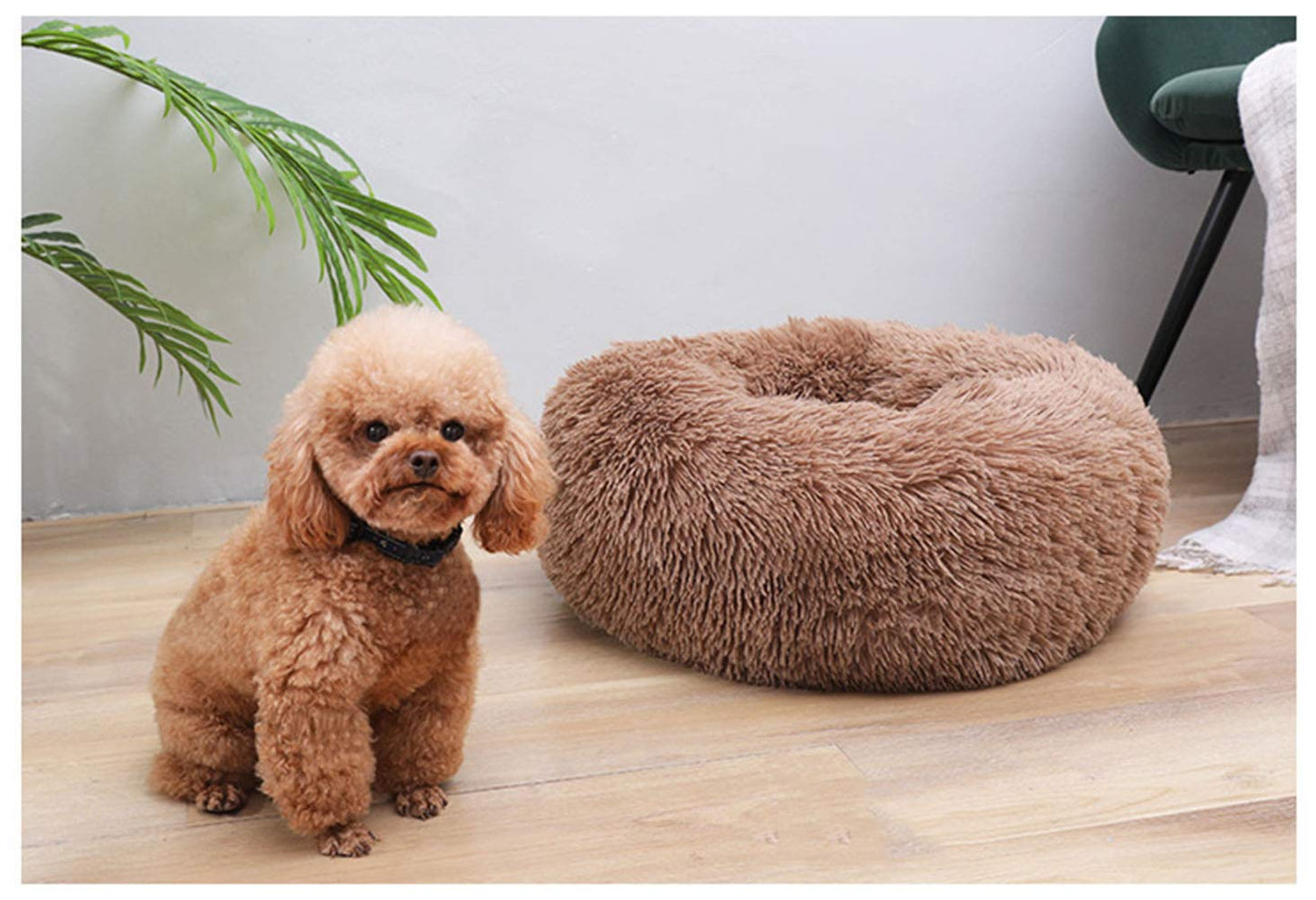 BODISEINT Modern Soft Plush Round Pet Bed for Cats or Small Dogs, Mini Medium Sized Dog Cat Bed Self Warming Autumn Winter Indoor Snooze Sleeping Cozy Kitty Teddy Kennel (20'' D x 8'' H, Light Grey)