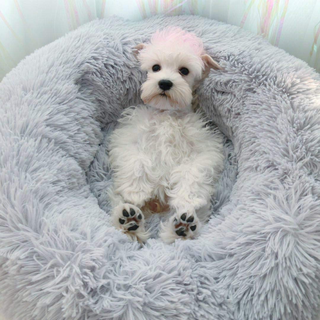 BODISEINT Modern Soft Plush Round Pet Bed for Cats or Small Dogs, Mini Medium Sized Dog Cat Bed Self Warming Autumn Winter Indoor Snooze Sleeping Cozy Kitty Teddy Kennel (20'' D x 8'' H, Light Grey)