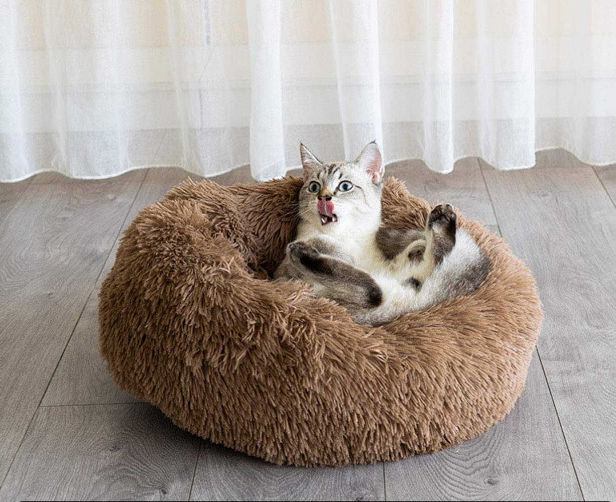 BODISEINT Modern Soft Plush Round Pet Bed for Cats or Small Dogs, Mini Medium Sized Dog Cat Bed Self Warming Autumn Winter Indoor Snooze Sleeping Cozy Kitty Teddy Kennel (20'' D x 8'' H, Light Grey)